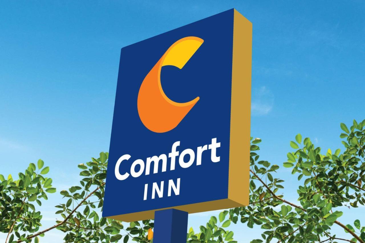 Comfort Inn Of Griswold Eksteriør billede